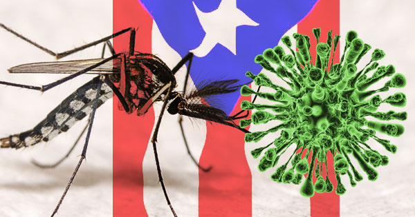 DENGUE Outbreak in Puerto Rico mixes with COVID-19 – PR informa